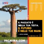 Il passato è nella tua testa. Il futuro è nelle tue mani. David Pacavira - UPV